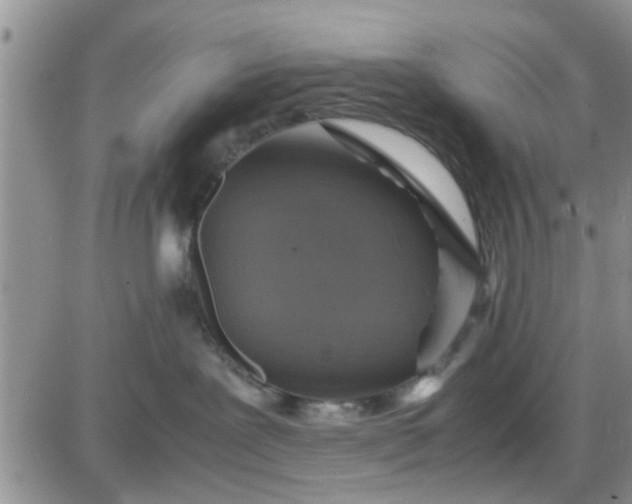 X0000085310239200703231932