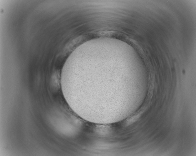 X0000085310240200703231932