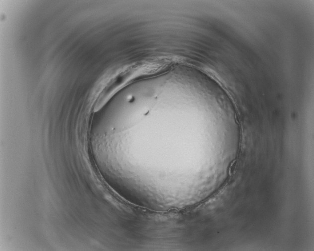 X0000085310241200703231931