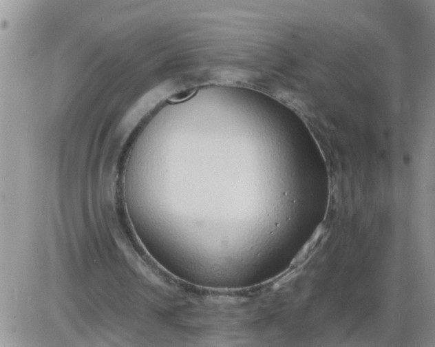 X0000085310242200703231931