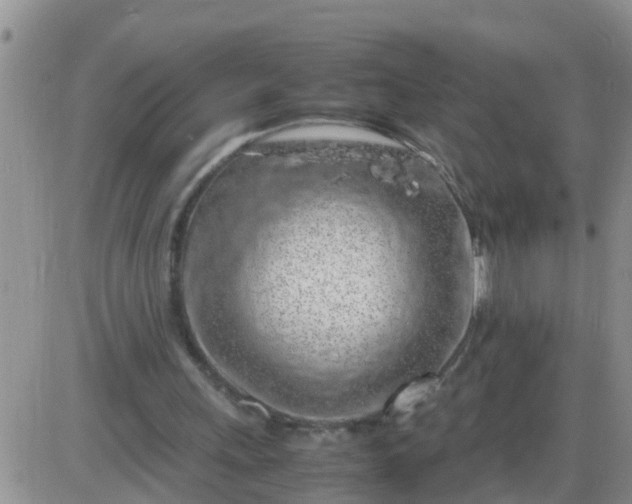 X0000085310243200703231931