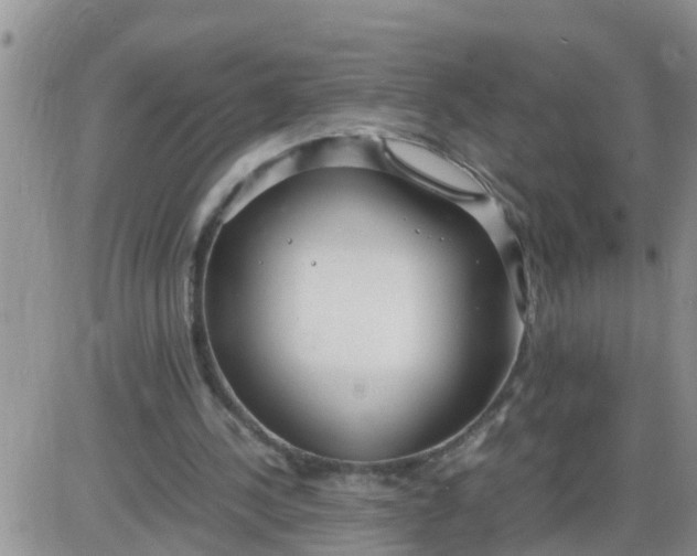 X0000085310244200703231931