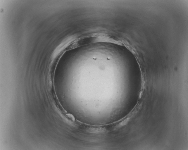 X0000085310245200703231931