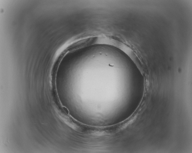 X0000085310246200703231931