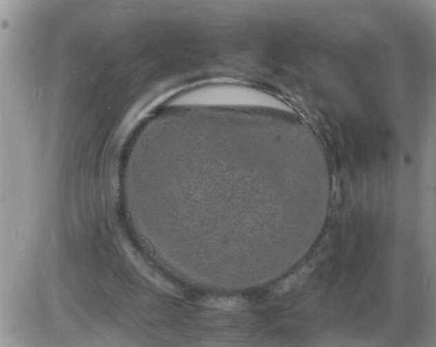 X0000085310247200703231931