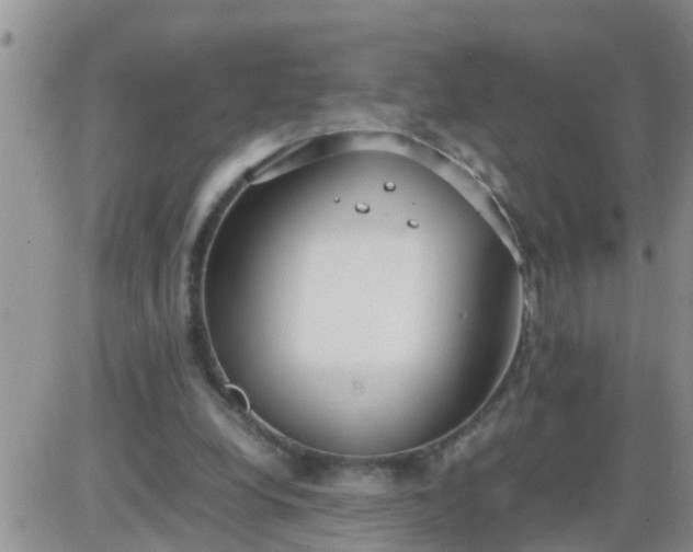 X0000085310248200703231931