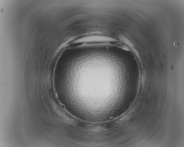 X0000085310249200703231931