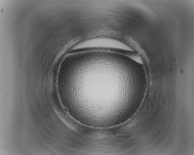 X0000085310250200703231931