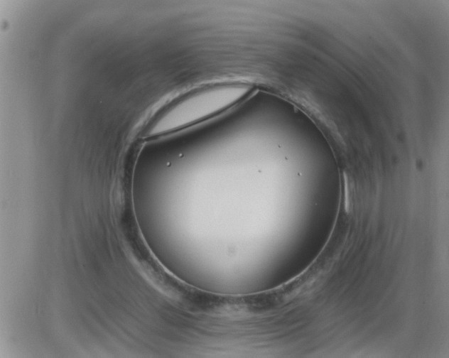 X0000085310252200703231931