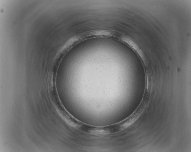 X0000085310253200703231931