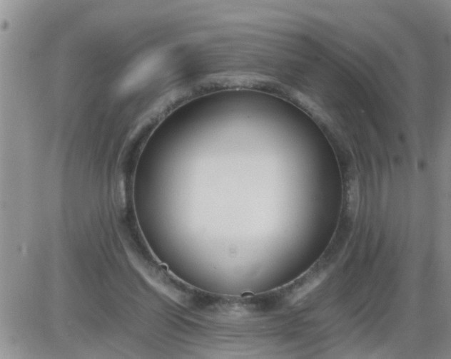 X0000085310254200703231931