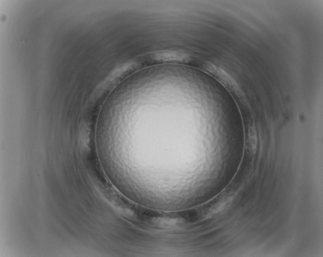 X0000085310255200703231931