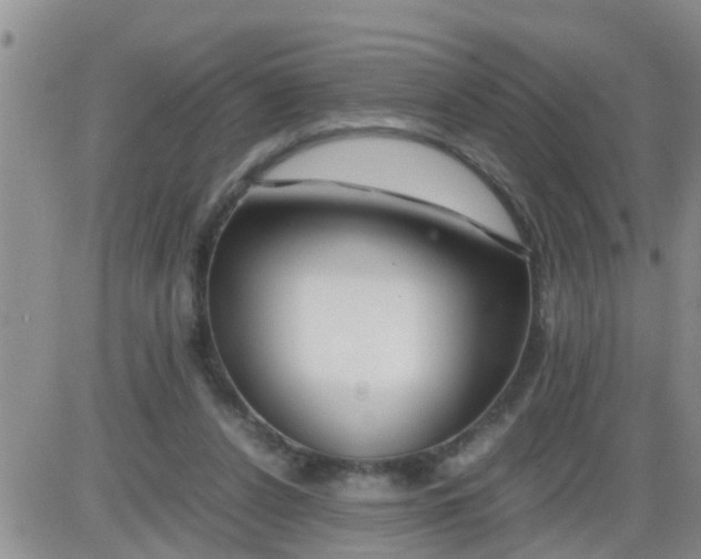 X0000085310256200703231931