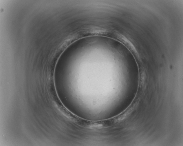 X0000085310257200703231931