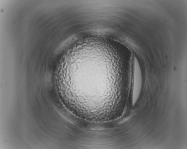 X0000085310258200703231931