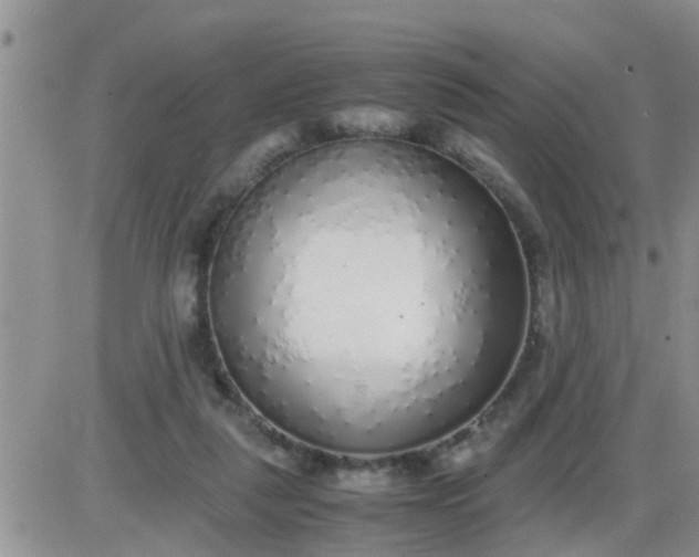 X0000085310259200703231931