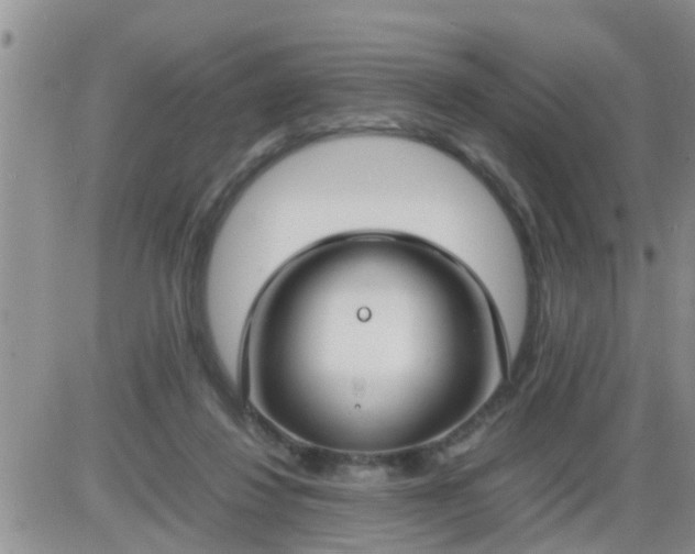 X0000085310260200703231931