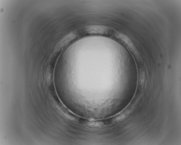 X0000085310261200703231931