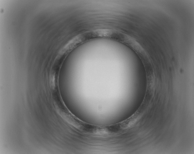 X0000085310262200703231931