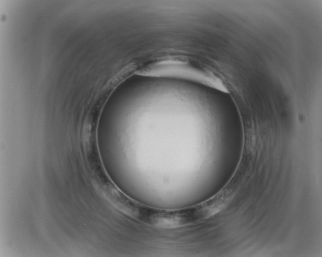 X0000085310263200703231931