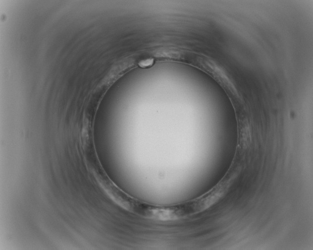 X0000085310265200703231931