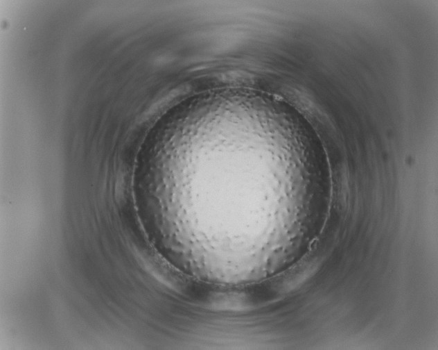 X0000085310266200703231931