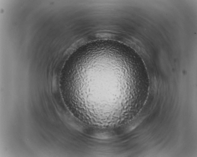 X0000085310267200703231931