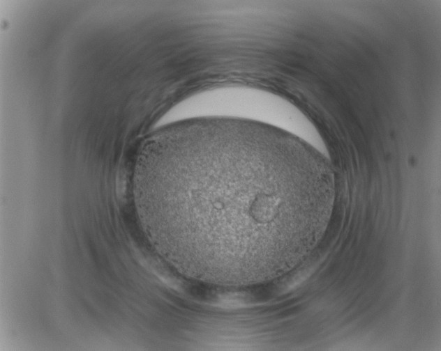 X0000085310268200703231931