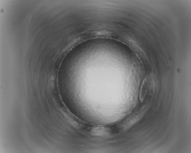 X0000085310269200703231931