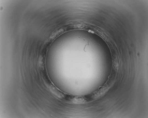 X0000085310270200703231931