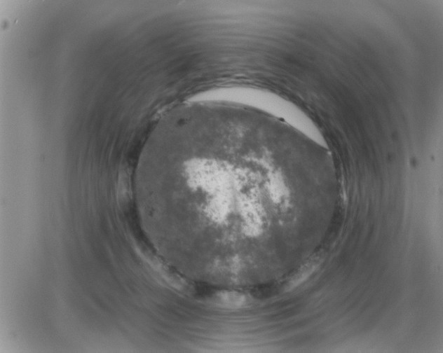 X0000085310272200703231931