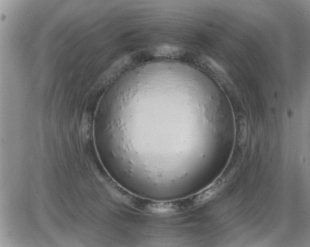 X0000085310273200703231931