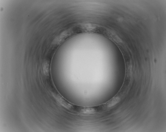 X0000085310274200703231931