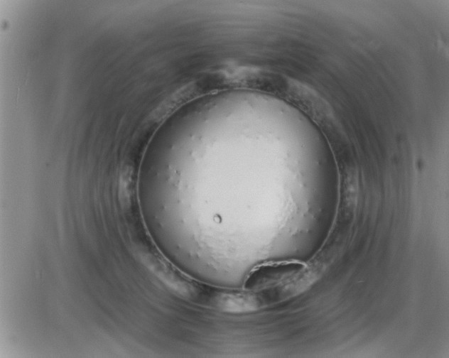 X0000085310275200703231931