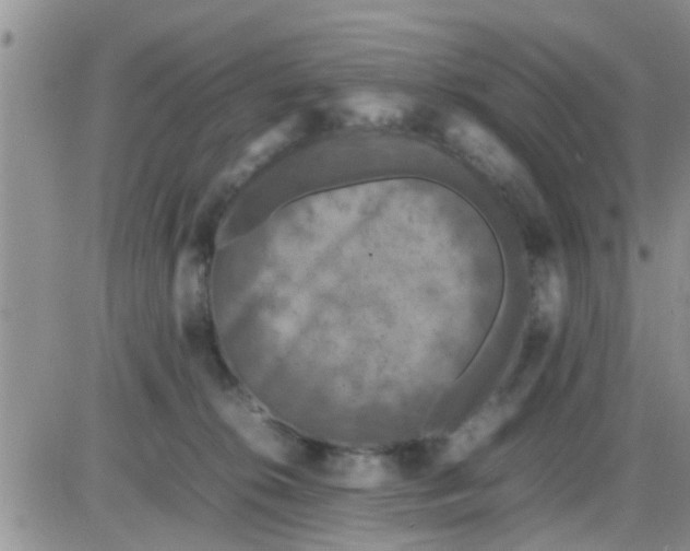 X0000085310276200703231931