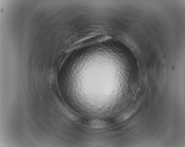 X0000085310277200703231931