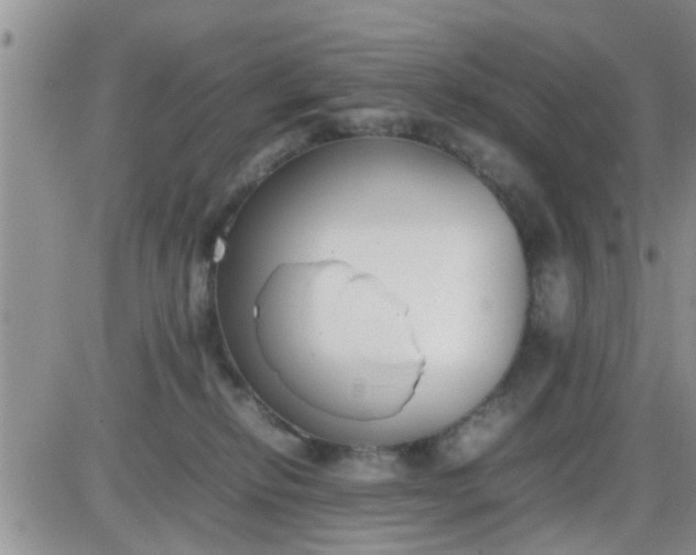 X0000085310278200703231931