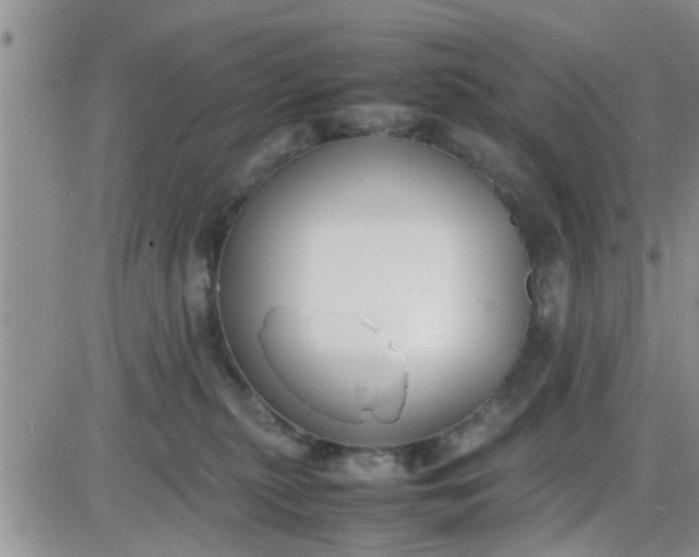 X0000085310279200703231931