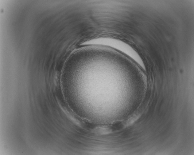 X0000085310280200703231931