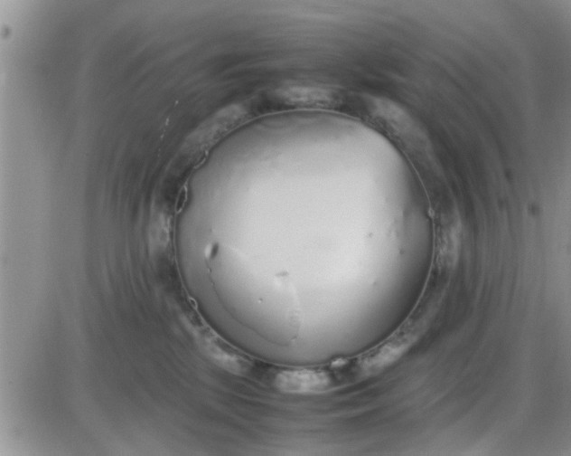 X0000085310281200703231931