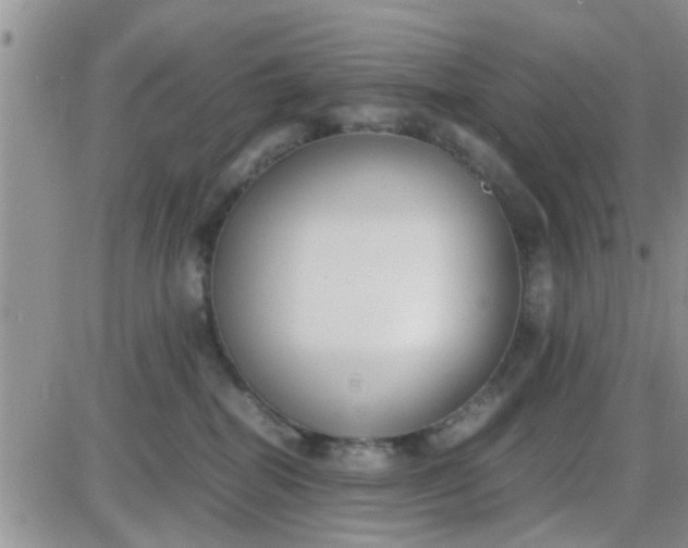 X0000085310282200703231931