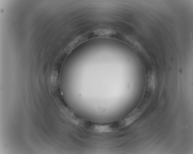 X0000085310283200703231931