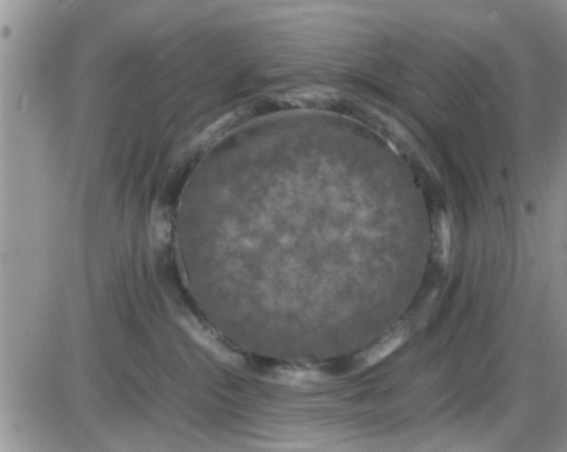 X0000085310284200703231931