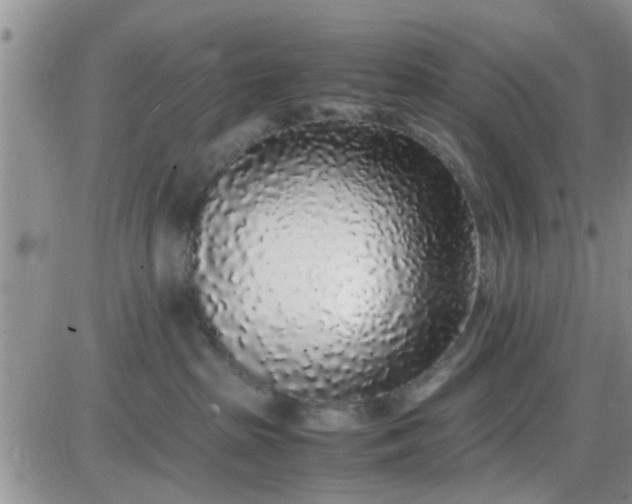 X0000085310285200703231931