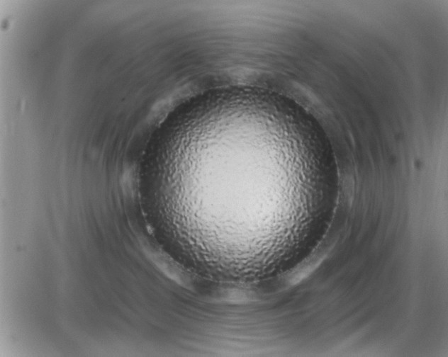 X0000085310286200703231931