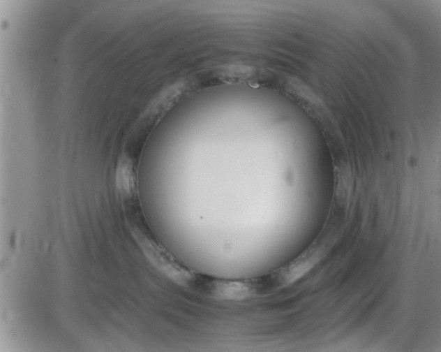 X0000085310287200703231931