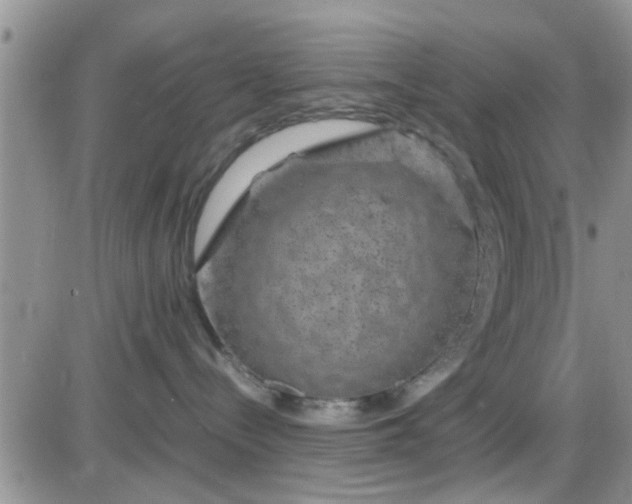 X0000085310288200703231932