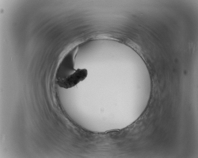 X0000085310289200703231931