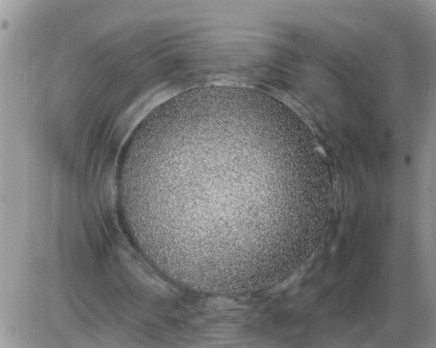 X0000085310290200703231931