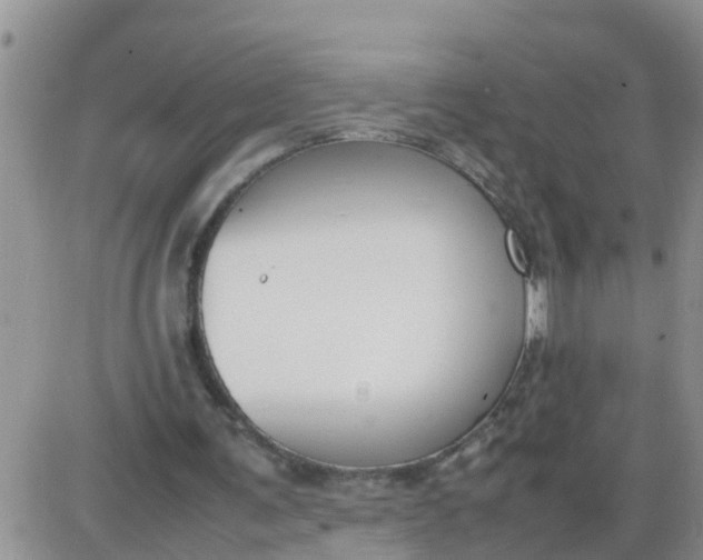 X0000085310291200703231931